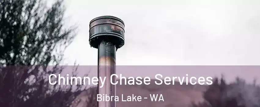 Chimney Chase Services Bibra Lake - WA