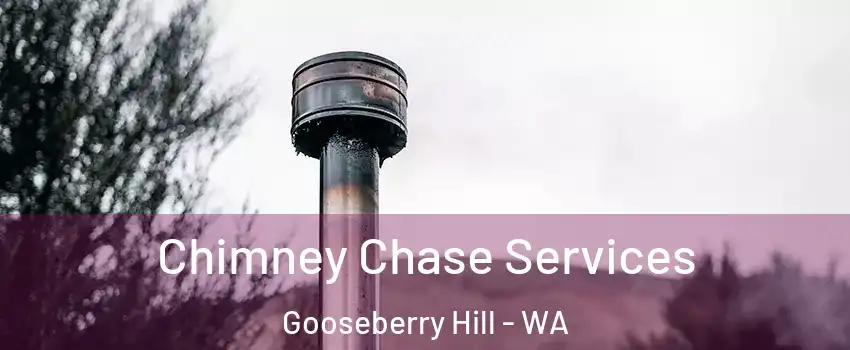Chimney Chase Services Gooseberry Hill - WA
