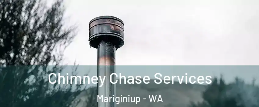 Chimney Chase Services Mariginiup - WA