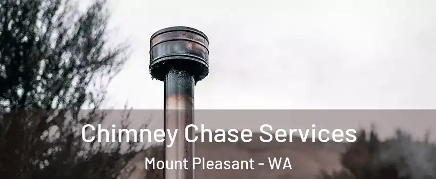 Chimney Chase Services Mount Pleasant - WA