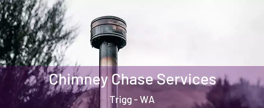 Chimney Chase Services Trigg - WA