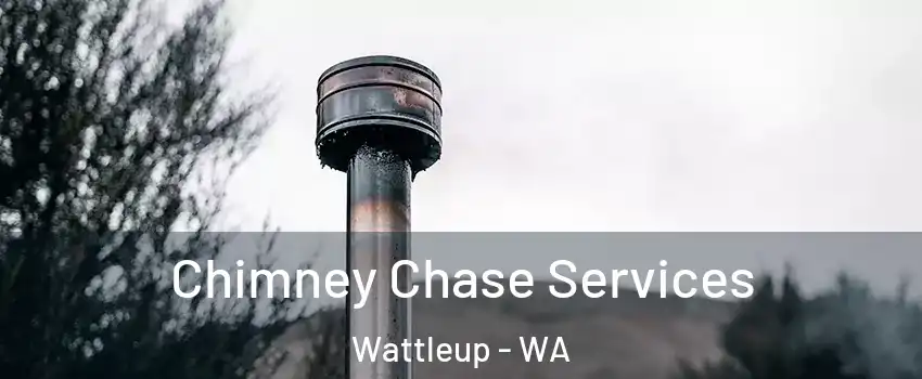 Chimney Chase Services Wattleup - WA
