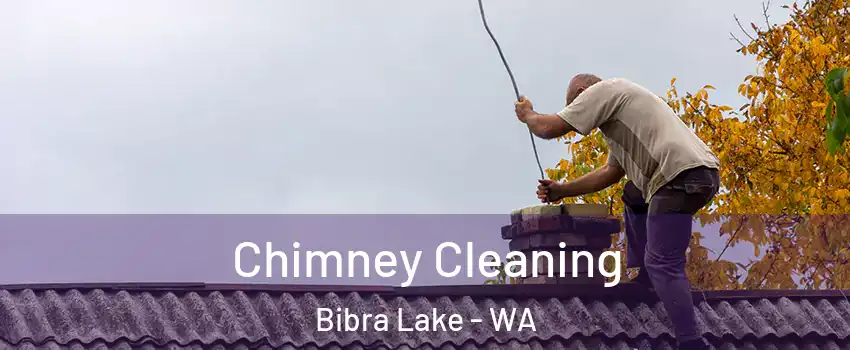 Chimney Cleaning Bibra Lake - WA