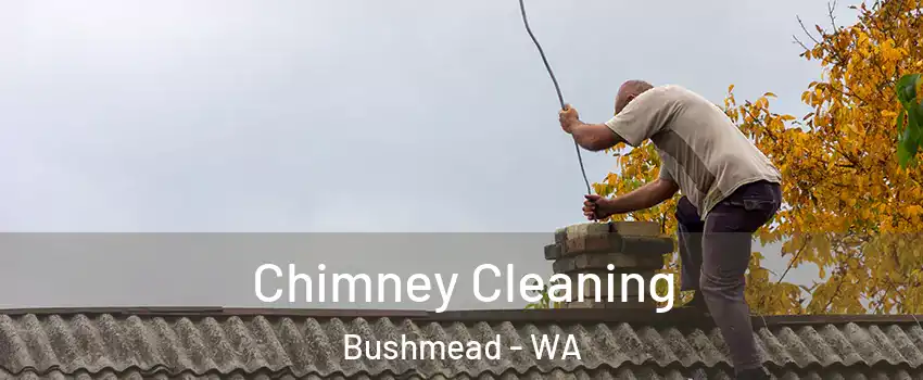 Chimney Cleaning Bushmead - WA