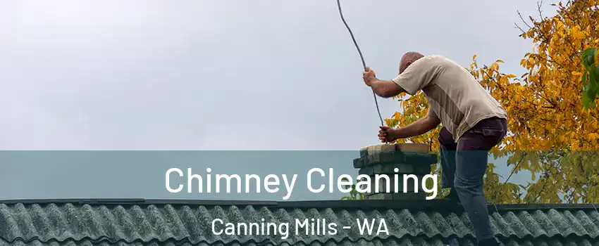 Chimney Cleaning Canning Mills - WA