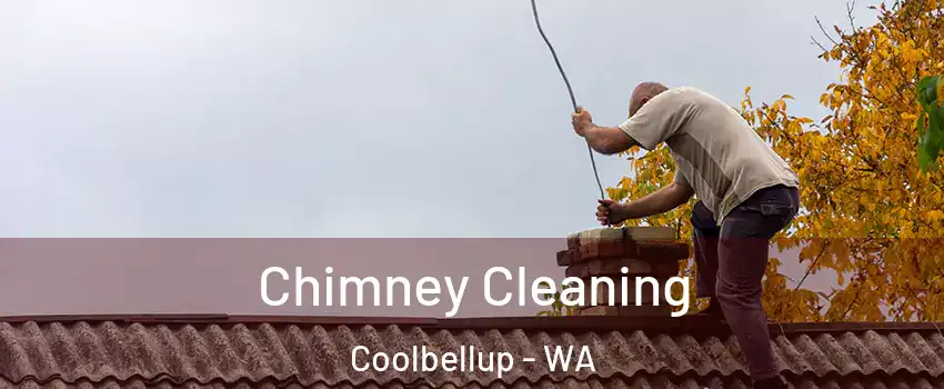 Chimney Cleaning Coolbellup - WA
