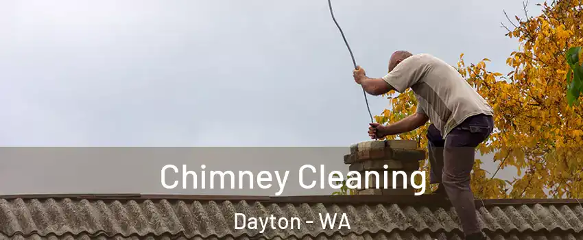 Chimney Cleaning Dayton - WA