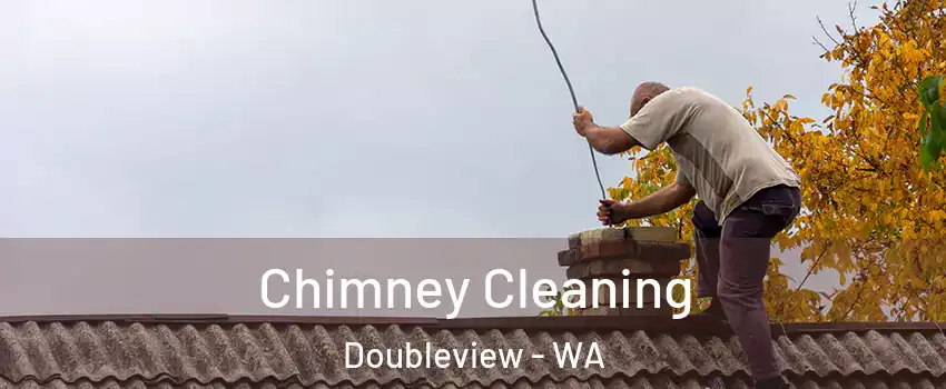 Chimney Cleaning Doubleview - WA