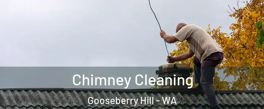 Chimney Cleaning Gooseberry Hill - WA
