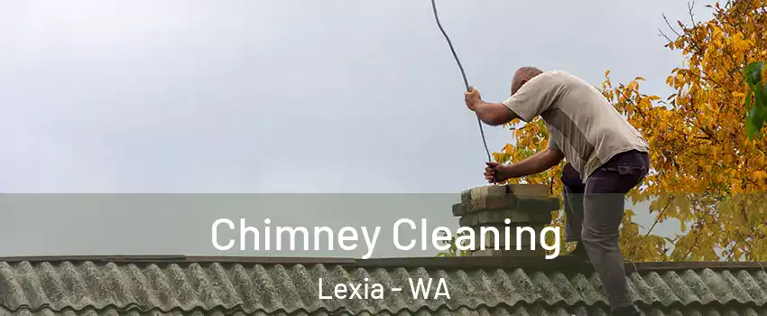 Chimney Cleaning Lexia - WA