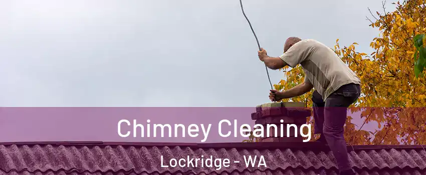 Chimney Cleaning Lockridge - WA