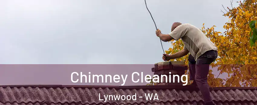 Chimney Cleaning Lynwood - WA