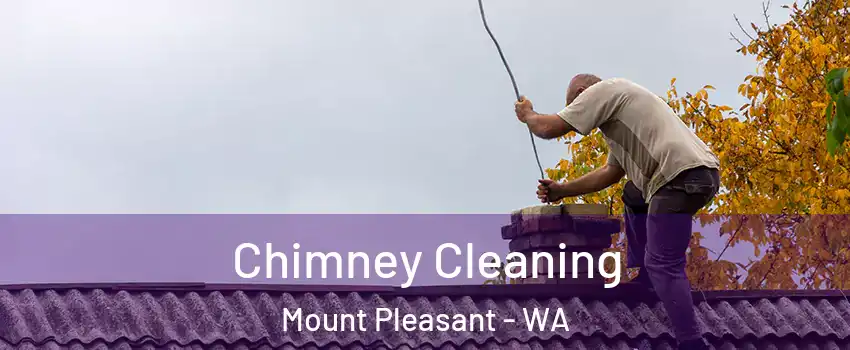 Chimney Cleaning Mount Pleasant - WA