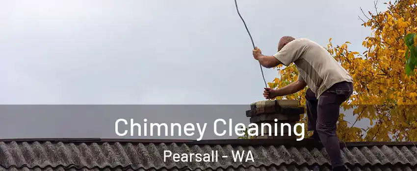 Chimney Cleaning Pearsall - WA