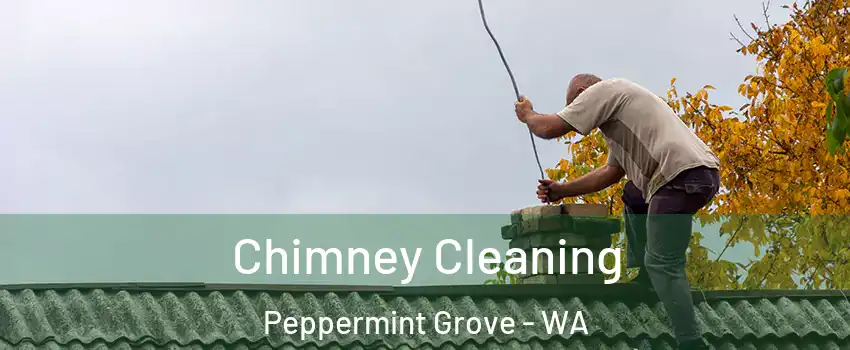 Chimney Cleaning Peppermint Grove - WA