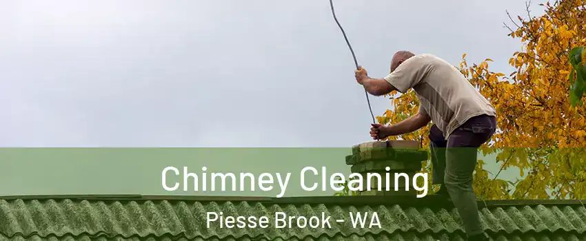 Chimney Cleaning Piesse Brook - WA