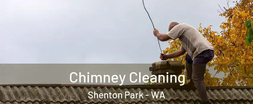 Chimney Cleaning Shenton Park - WA
