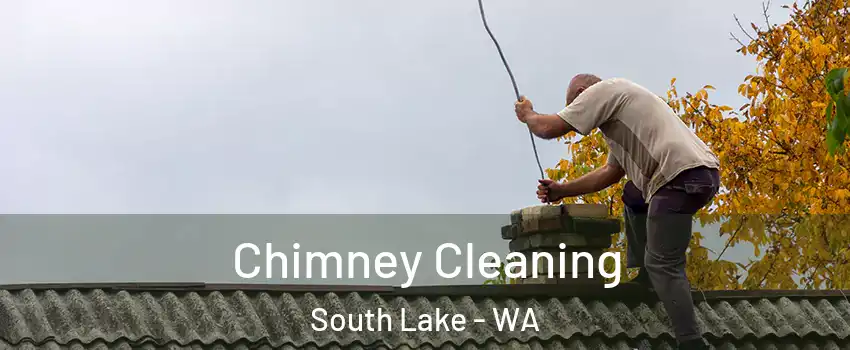 Chimney Cleaning South Lake - WA
