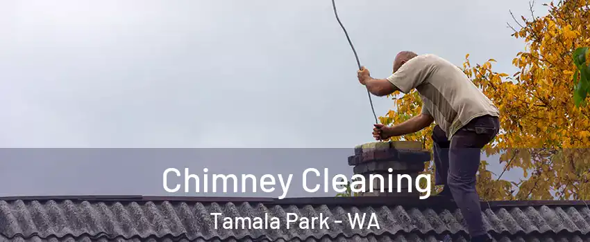 Chimney Cleaning Tamala Park - WA
