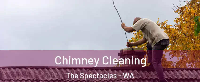 Chimney Cleaning The Spectacles - WA