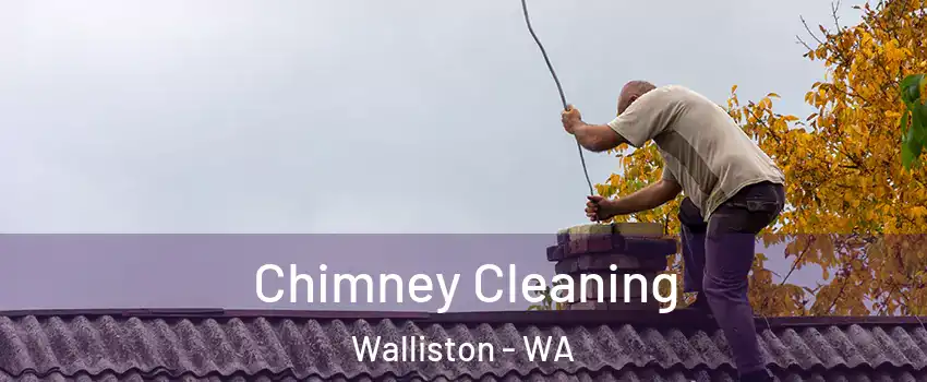Chimney Cleaning Walliston - WA