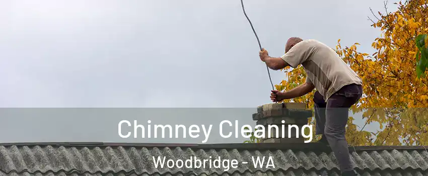 Chimney Cleaning Woodbridge - WA