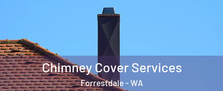 Chimney Cover Services Forrestdale - WA