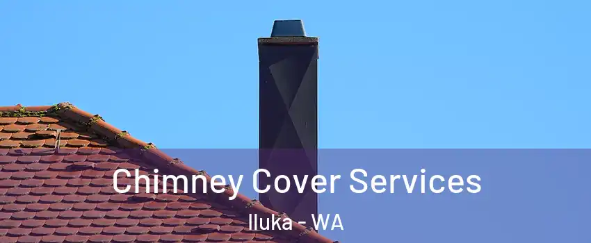 Chimney Cover Services Iluka - WA