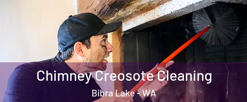 Chimney Creosote Cleaning Bibra Lake - WA