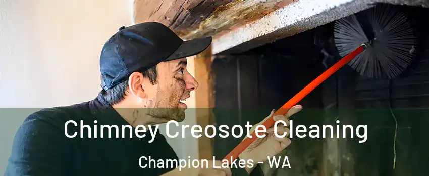 Chimney Creosote Cleaning Champion Lakes - WA