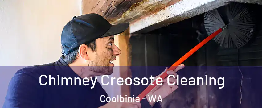 Chimney Creosote Cleaning Coolbinia - WA