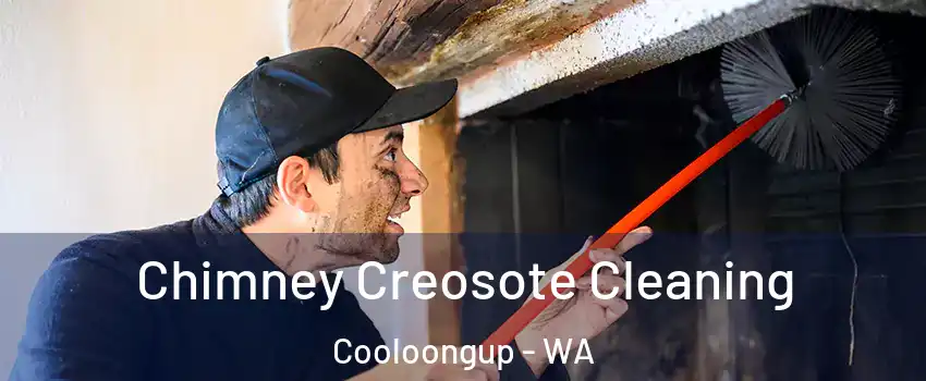 Chimney Creosote Cleaning Cooloongup - WA