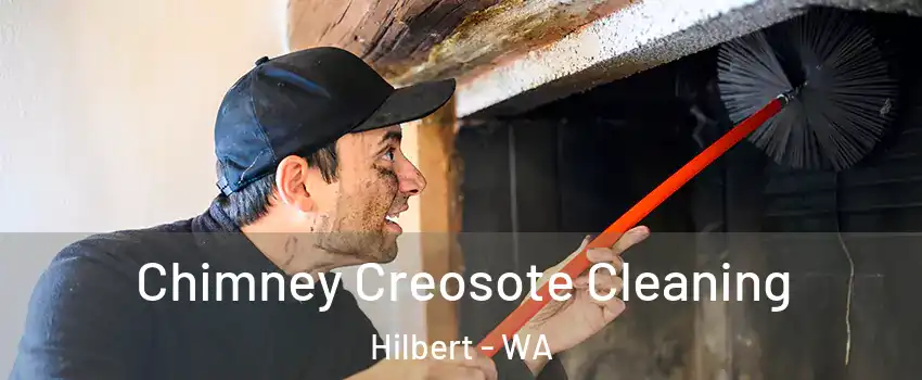 Chimney Creosote Cleaning Hilbert - WA