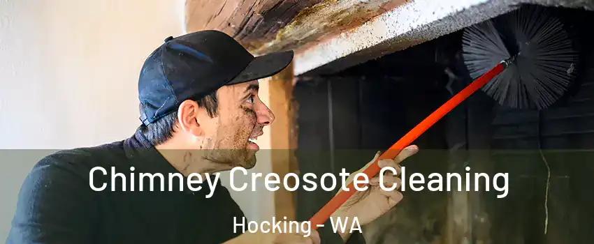 Chimney Creosote Cleaning Hocking - WA