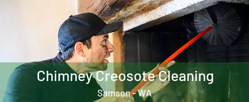 Chimney Creosote Cleaning Samson - WA