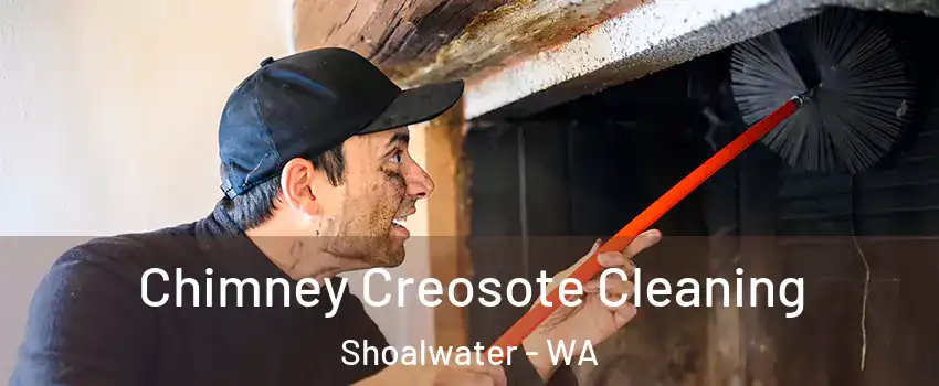 Chimney Creosote Cleaning Shoalwater - WA