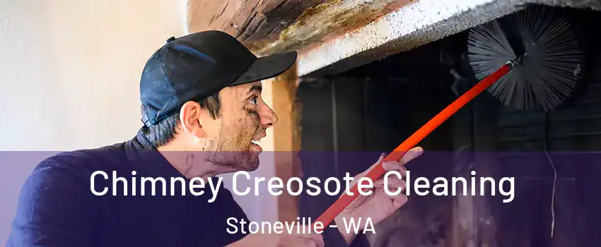 Chimney Creosote Cleaning Stoneville - WA