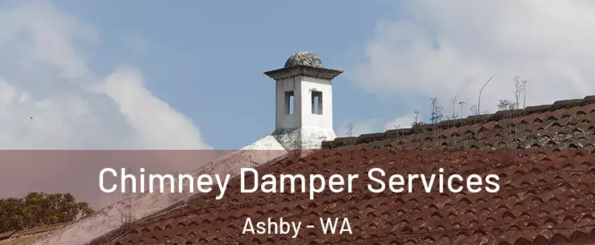 Chimney Damper Services Ashby - WA