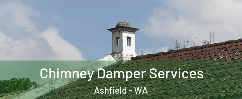 Chimney Damper Services Ashfield - WA