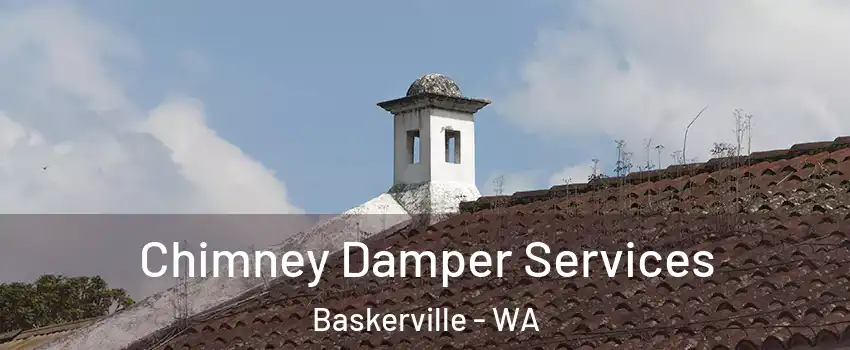 Chimney Damper Services Baskerville - WA