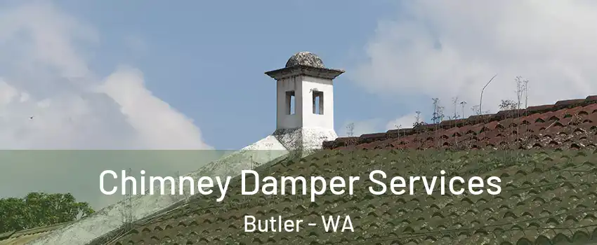 Chimney Damper Services Butler - WA