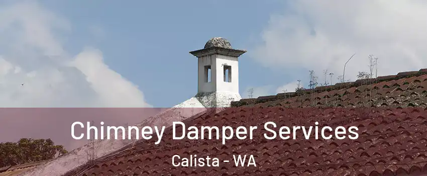Chimney Damper Services Calista - WA