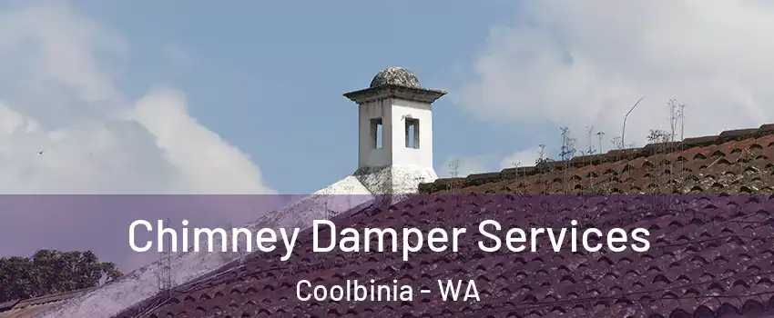 Chimney Damper Services Coolbinia - WA