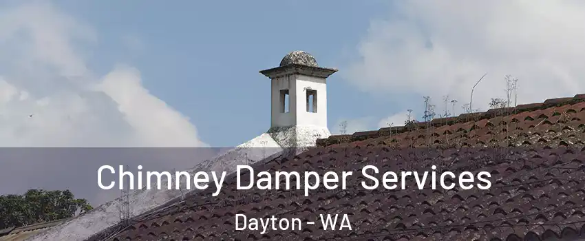 Chimney Damper Services Dayton - WA