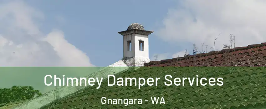 Chimney Damper Services Gnangara - WA