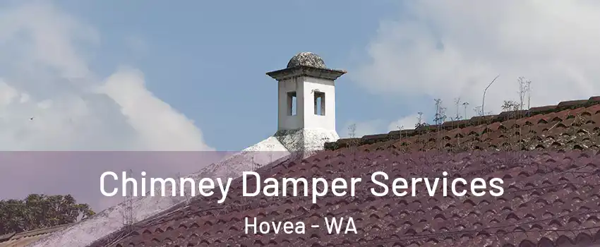Chimney Damper Services Hovea - WA