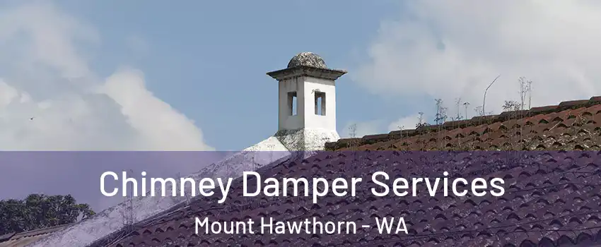 Chimney Damper Services Mount Hawthorn - WA