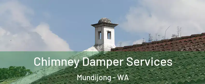 Chimney Damper Services Mundijong - WA