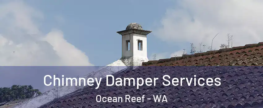 Chimney Damper Services Ocean Reef - WA
