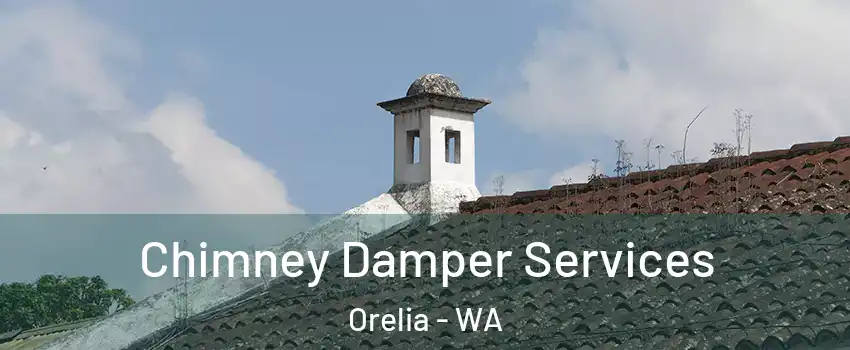 Chimney Damper Services Orelia - WA